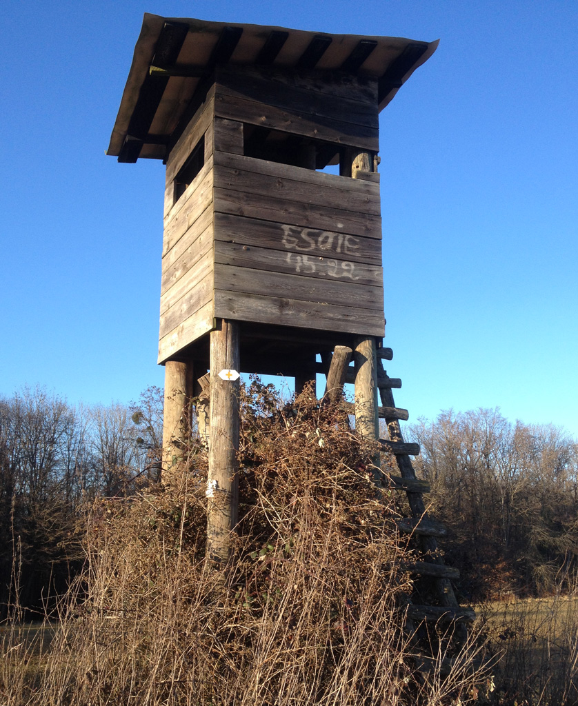 2022 01 12 steinbrunnbas img15