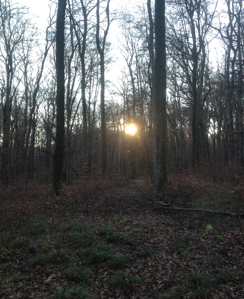 2022 01 12 steinbrunnbas img16