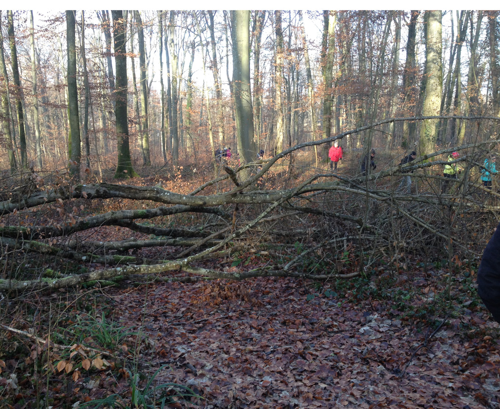 2022 01 12 steinbrunnbas img7