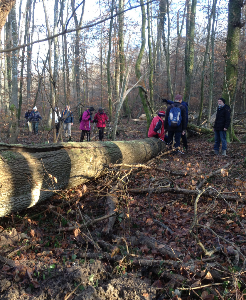 2022 01 12 steinbrunnbas img8