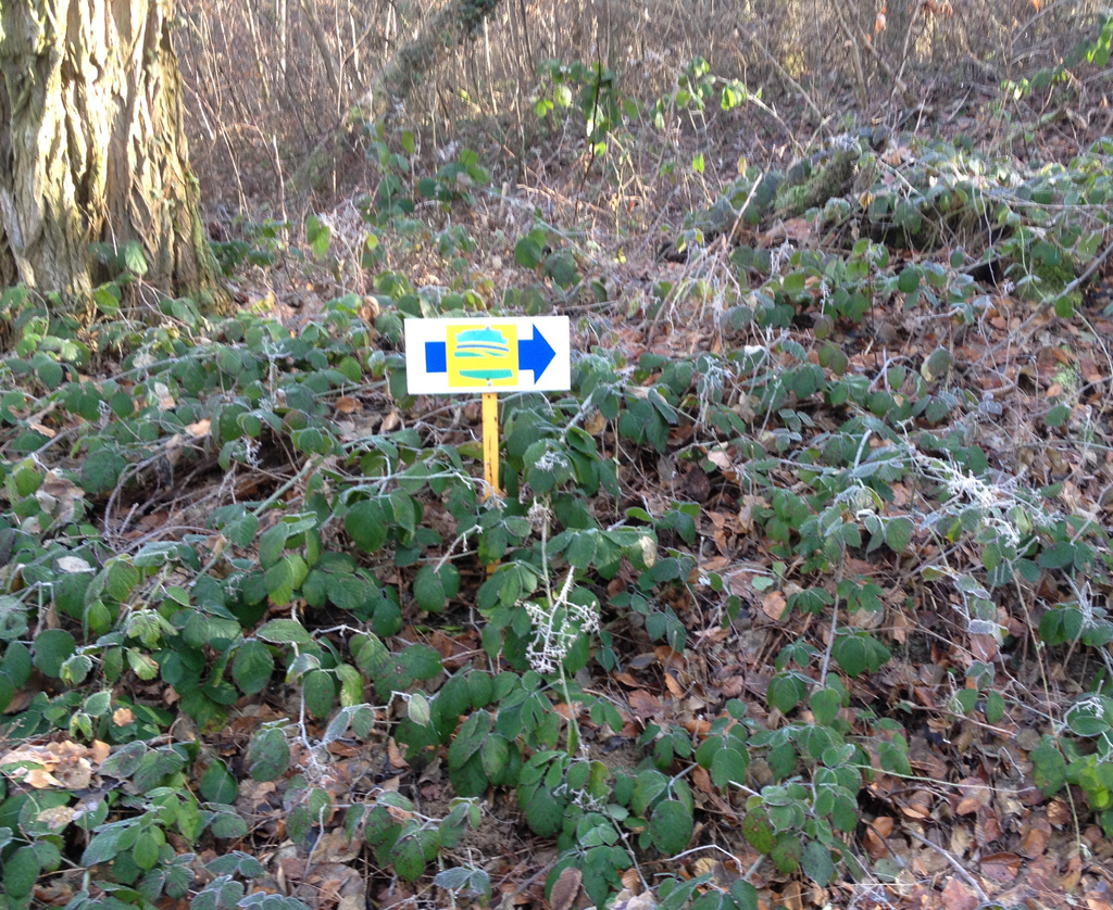 2022 01 12 steinbrunnbas img9