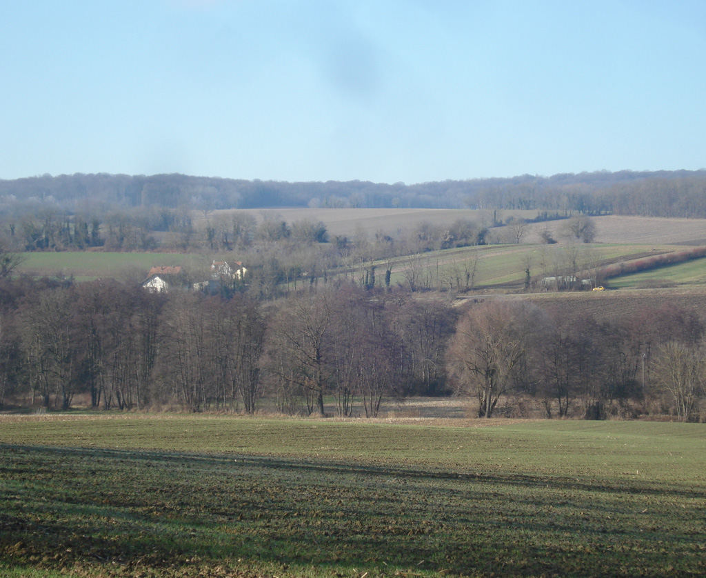 2022 01 12 steinbrunnbas jn img11