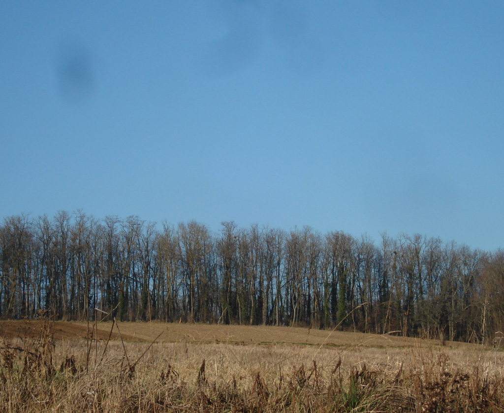 2022 01 12 steinbrunnbas jn img14