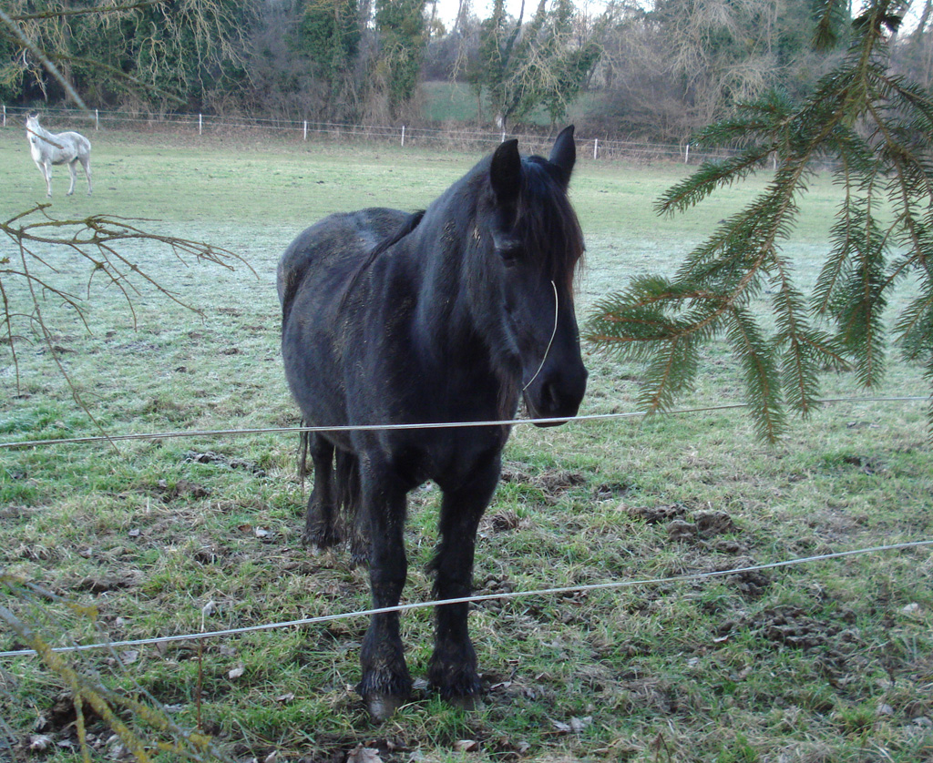 2022 01 12 steinbrunnbas jn img16