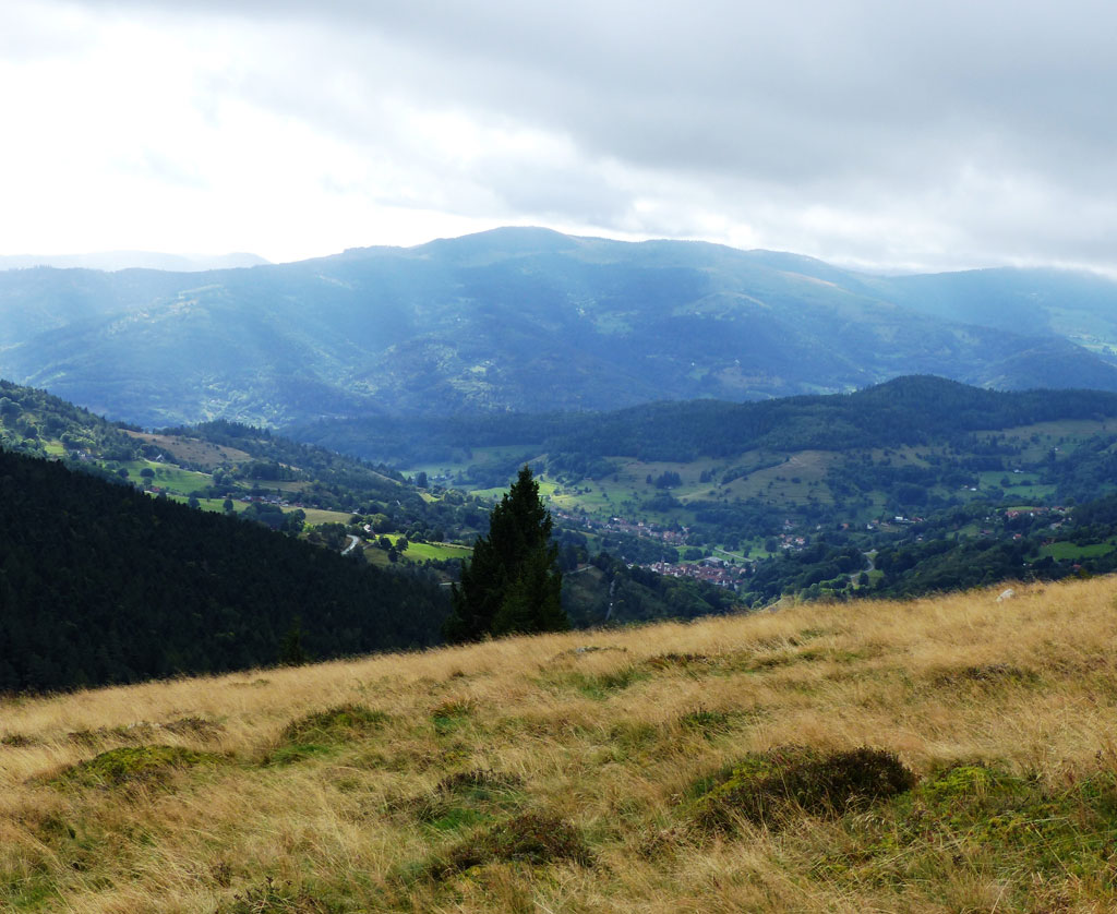 P0754 Hte vallée Munster sous nuages