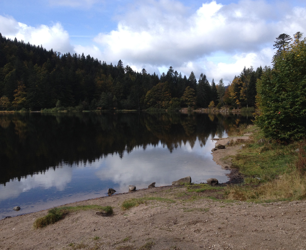 2021 10 13 bramont img15