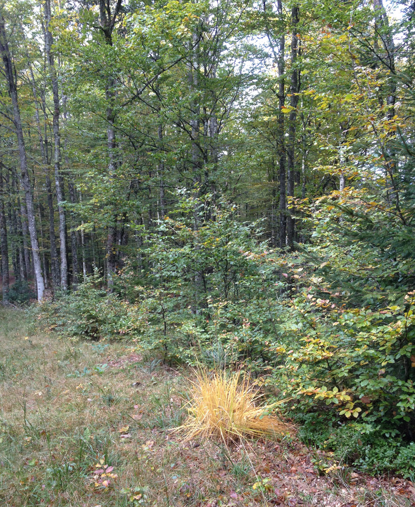 2021 10 13 bramont img17