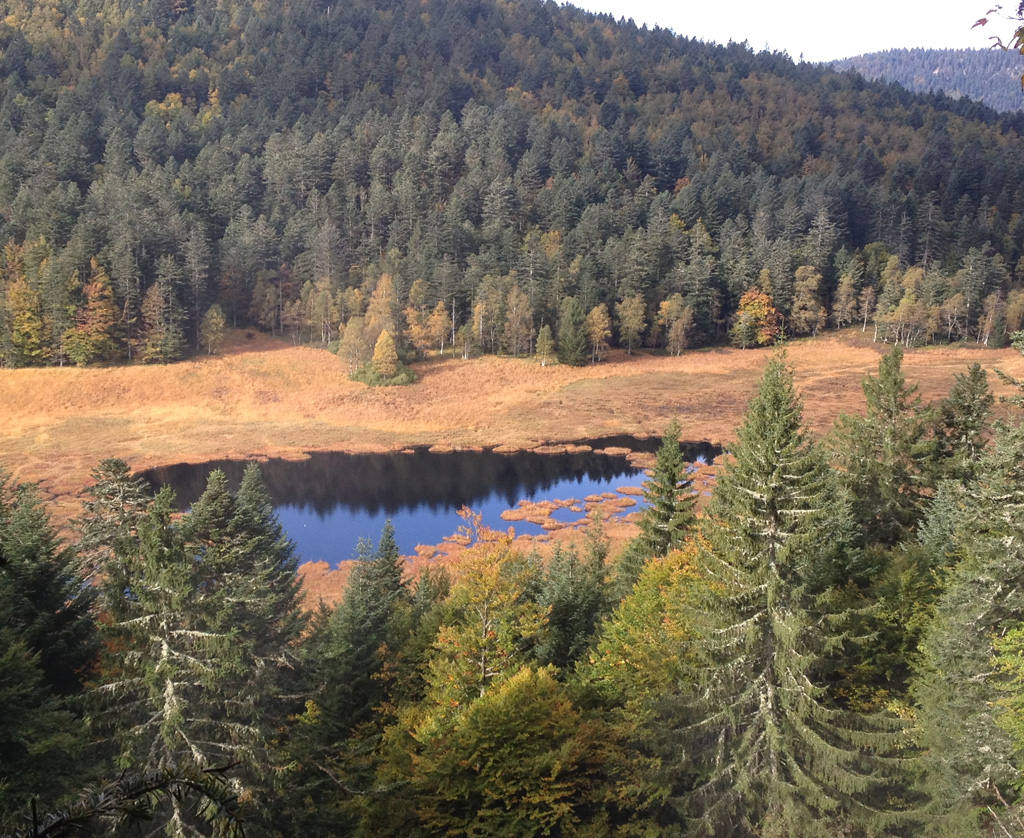 2021 10 13 bramont img4