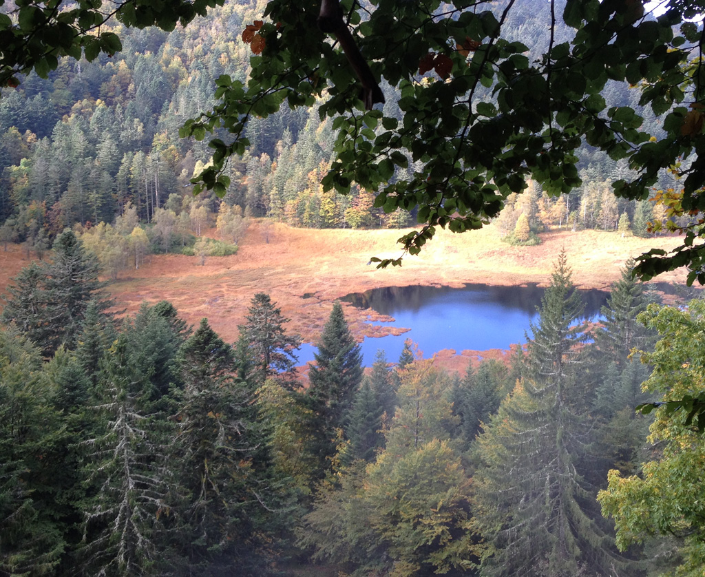 2021 10 13 bramont img5