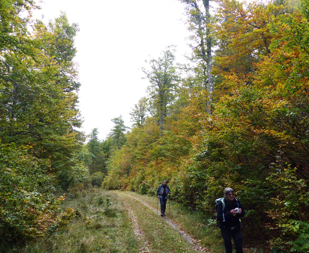 P785 Chemin de retour vers Col du Bramont
