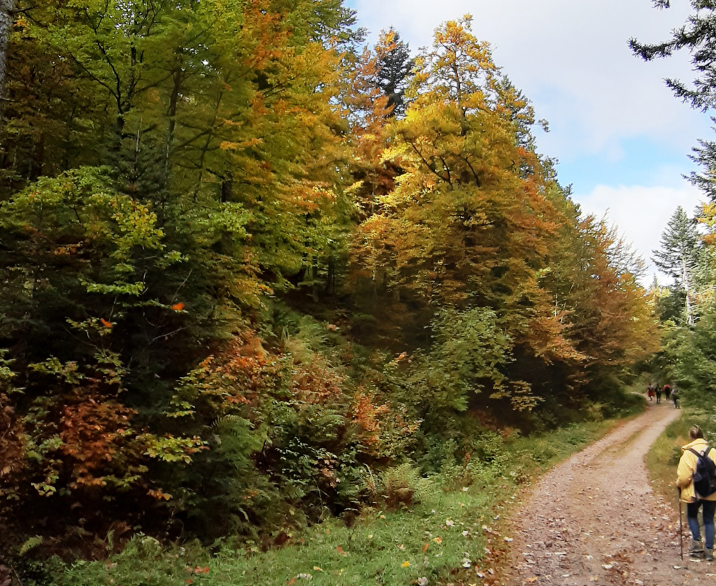 S En chemin au sud du lac Blanchemer
