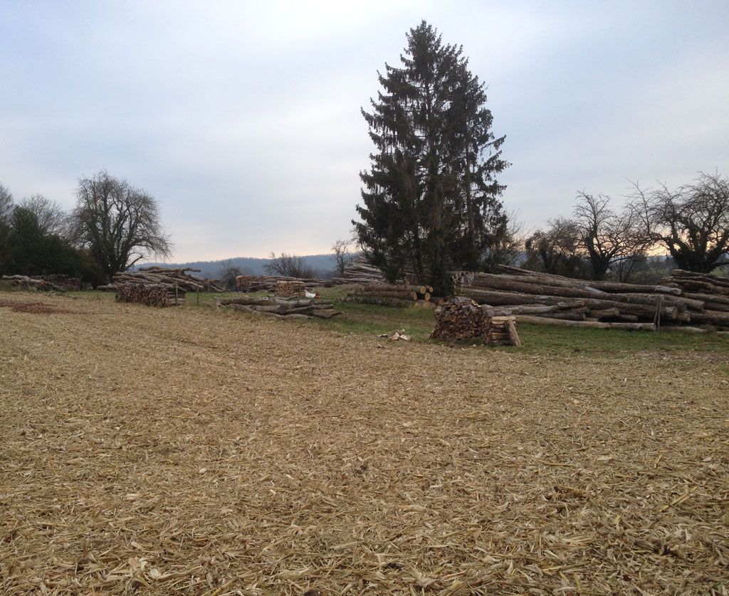 21 11 17 didenheim img 10