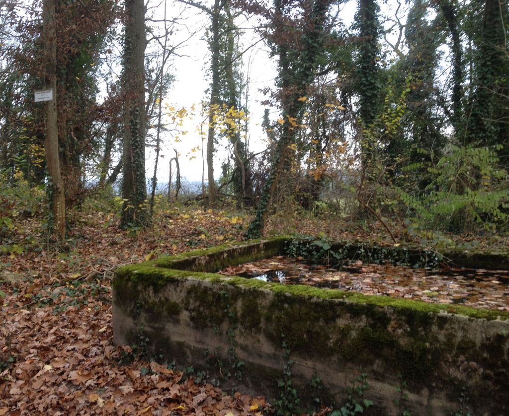 21 11 17 didenheim img 17