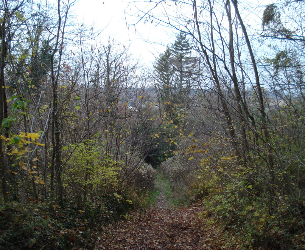 21 11 17 didenheim img 26