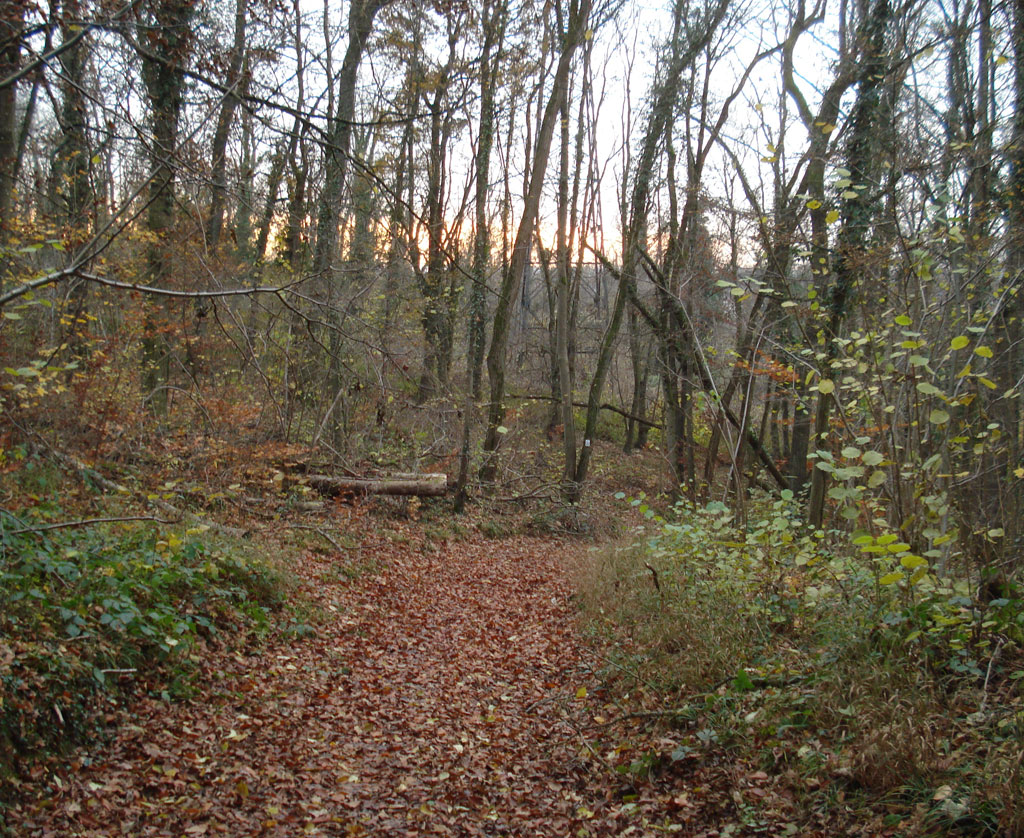 21 11 17 didenheim img 27