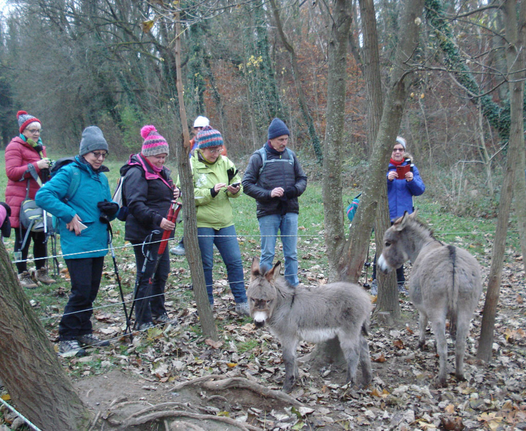 21 11 17 didenheim img 29