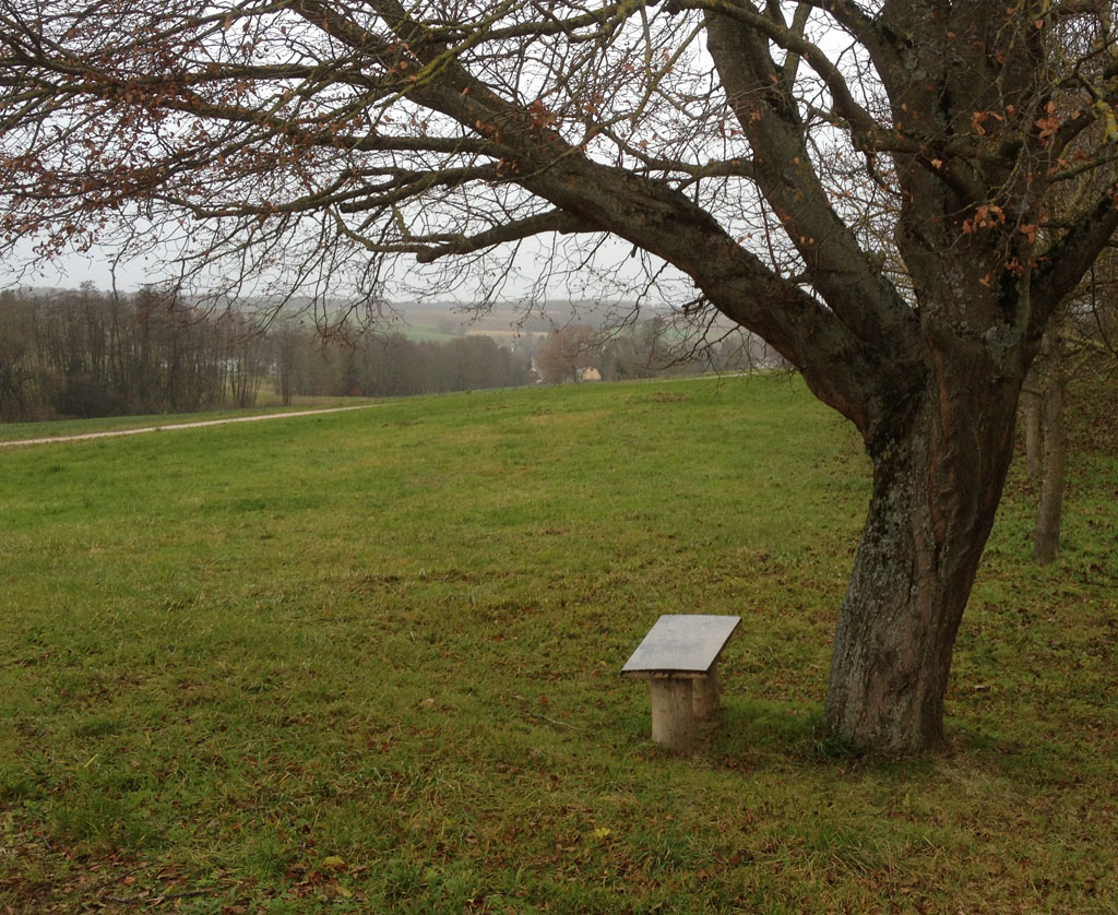 21 12 01 helfrantzkirch img 6