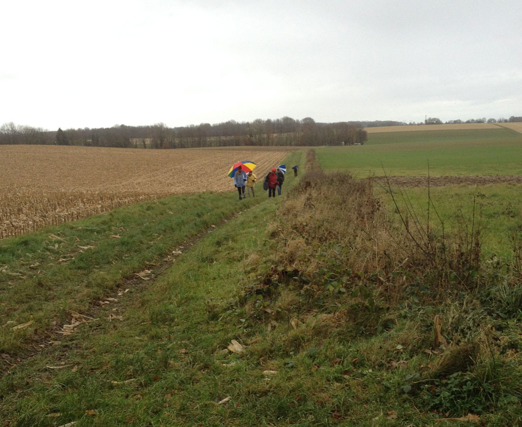 21 12 01 helfrantzkirch img 7