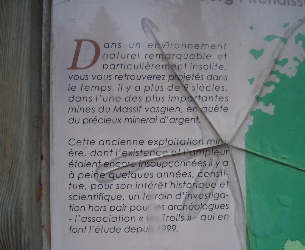 2021 12 15 steinbach img 14