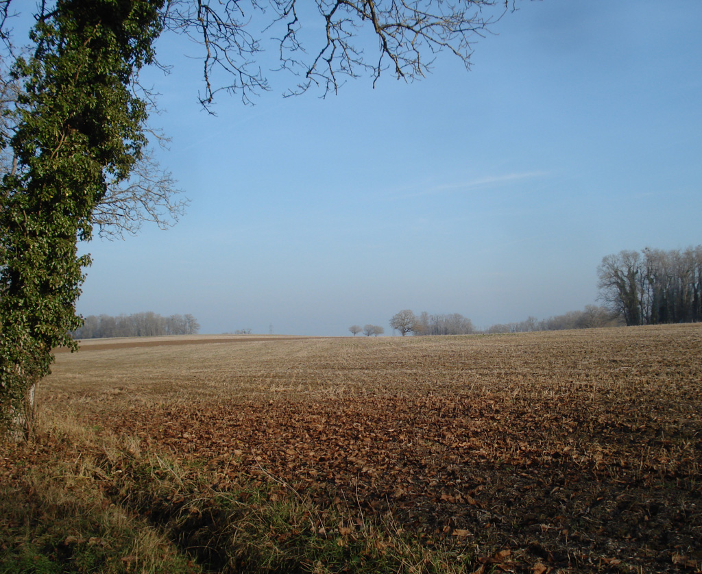 2021 12 22 bruebach img10