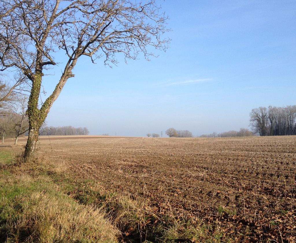2021 12 22 bruebach img16