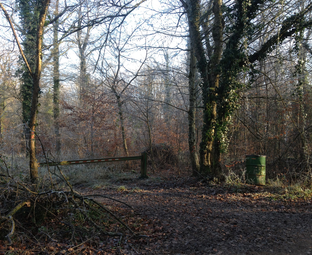 2021 12 22 bruebach img17