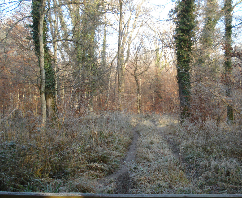 2021 12 22 bruebach img3