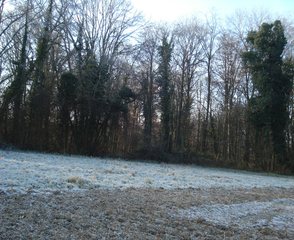 2021 12 22 bruebach img7 1
