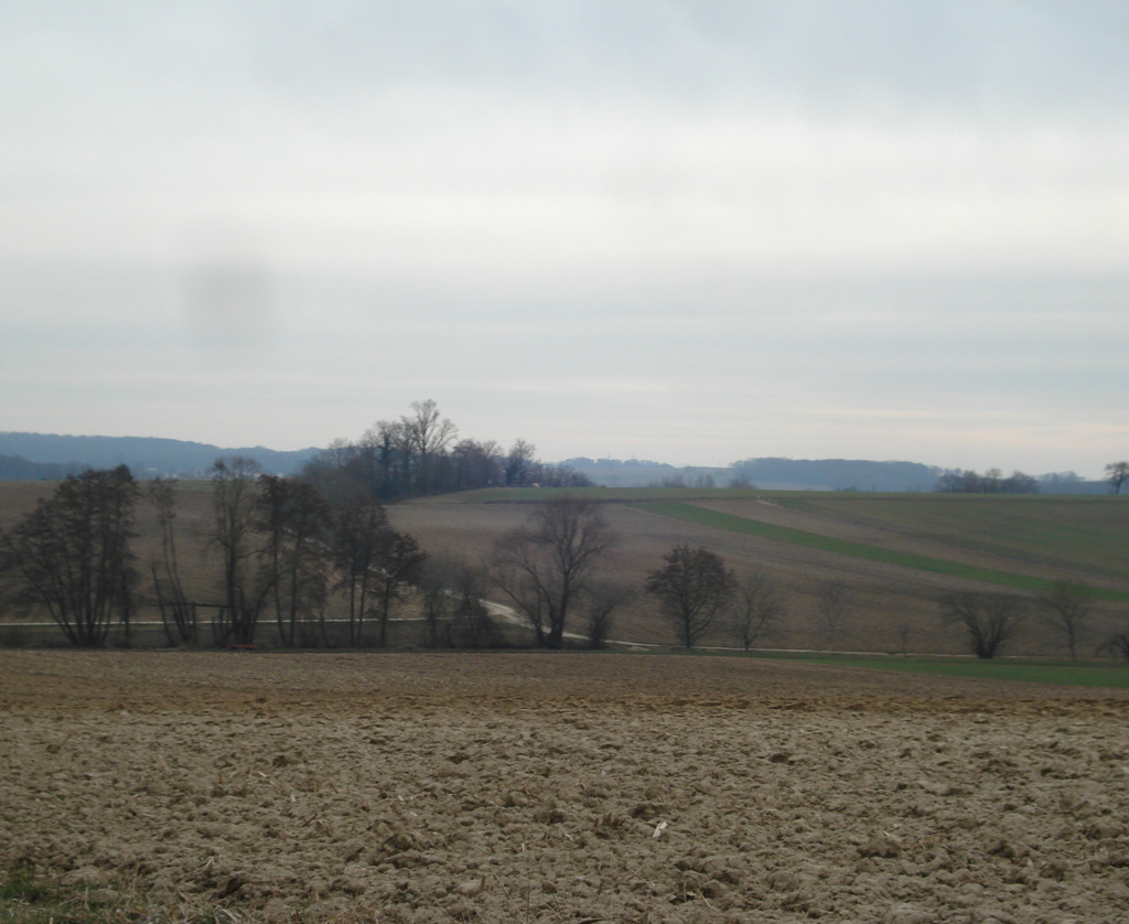 2022 03 02 schlierbach img10