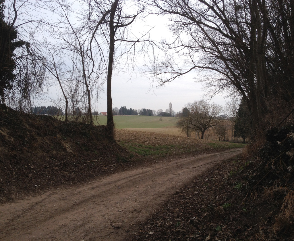 2022 03 02 schlierbach img3