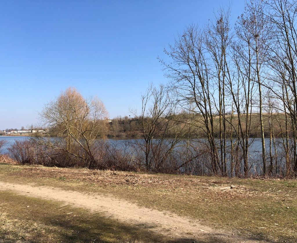 2022 03 09 ensisheim img4