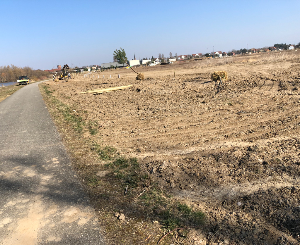 2022 03 09 ensisheim img7