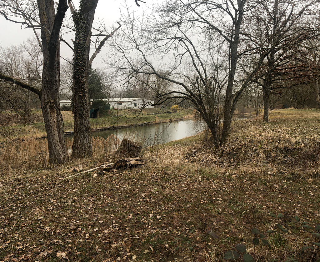 2022 03 16 richwiller img10