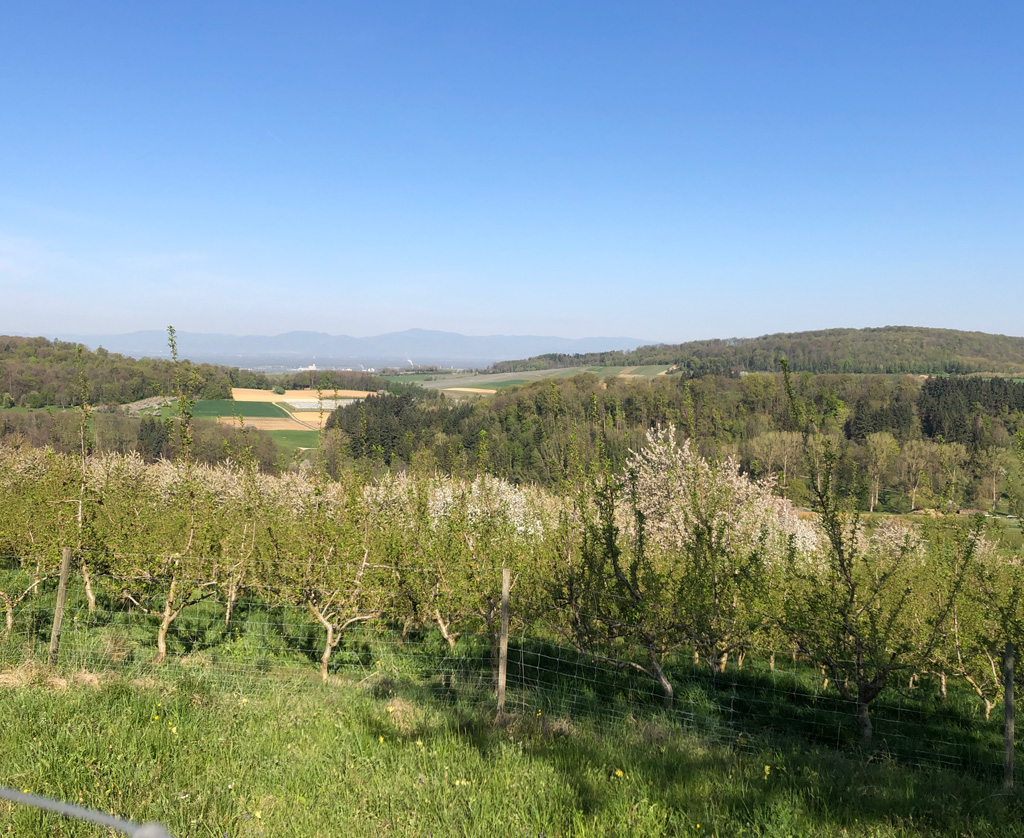 2022 04 20 schliegen img11