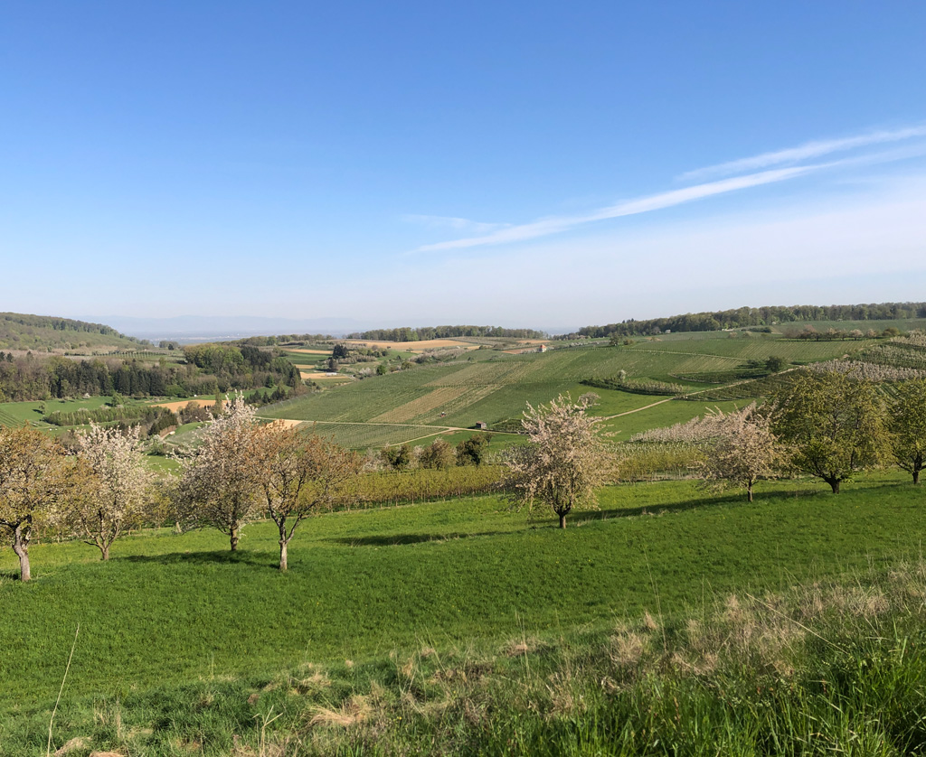 2022 04 20 schliegen img12