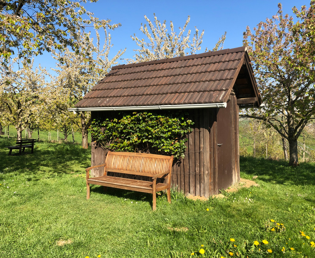 2022 04 20 schliegen img16
