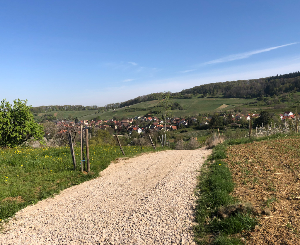 2022 04 20 schliegen img17