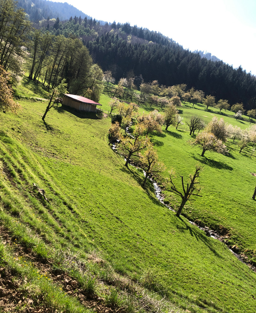 2022 04 20 schliegen img23