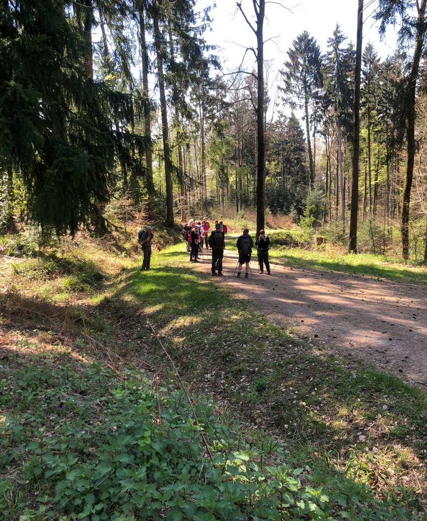 2022 04 20 schliegen img25