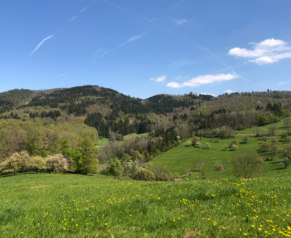 2022 04 20 schliegen img29