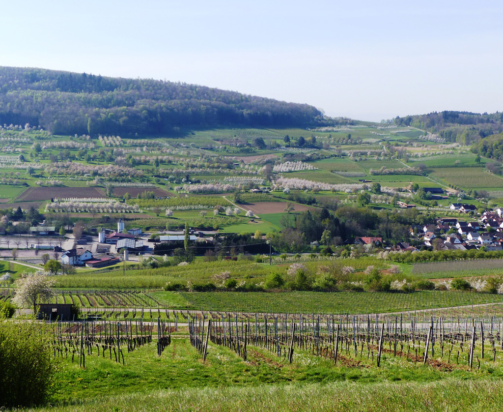 2022 04 20 schliegen Eggenen