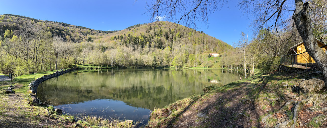 2022 04 27 lachtelweiher 1 img1