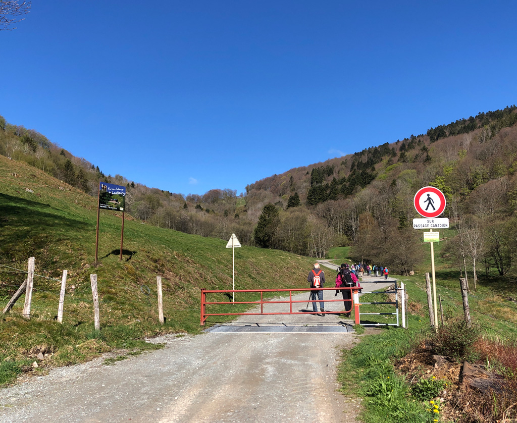 2022 04 27 lachtelweiher 1 img3