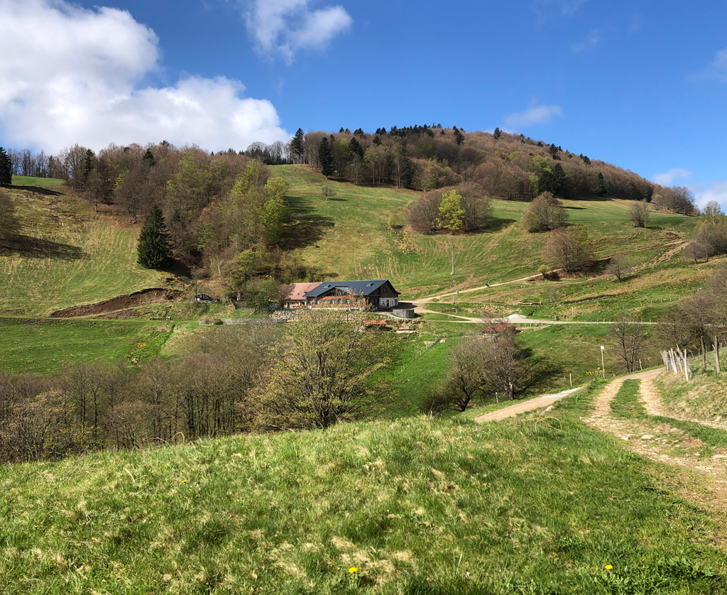 2022 04 27 lachtelweiher 2 img3