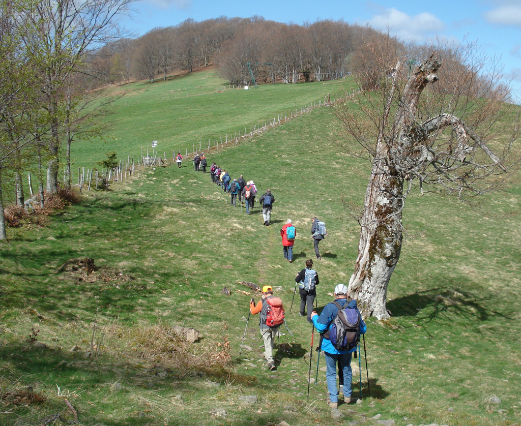2022 04 27 lachtelweiher 3 img1