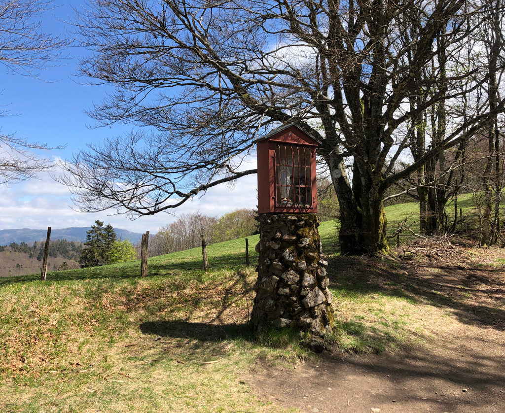 2022 04 27 lachtelweiher 6 img5