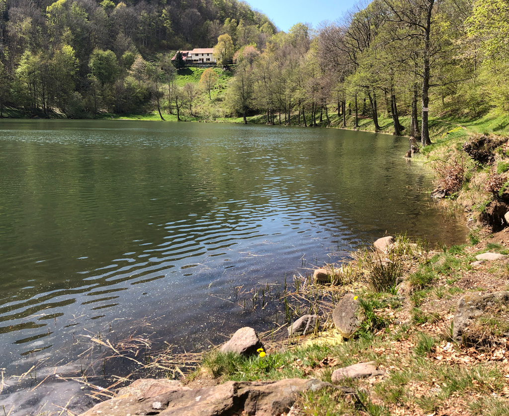 2022 04 27 lachtelweiher 6 img7