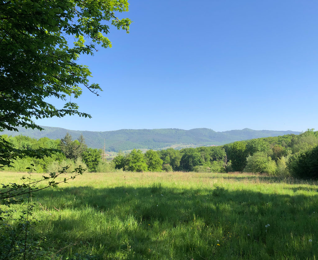 2022 05 11 val patre img1