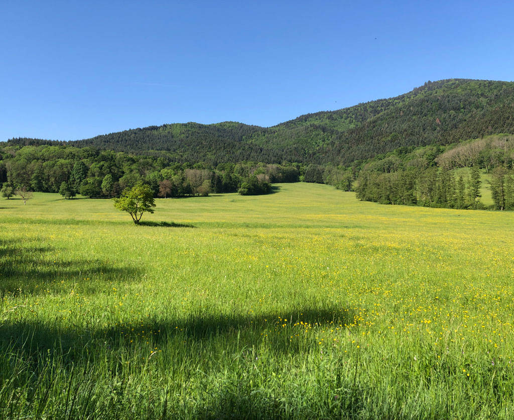 2022 05 11 val patre img5
