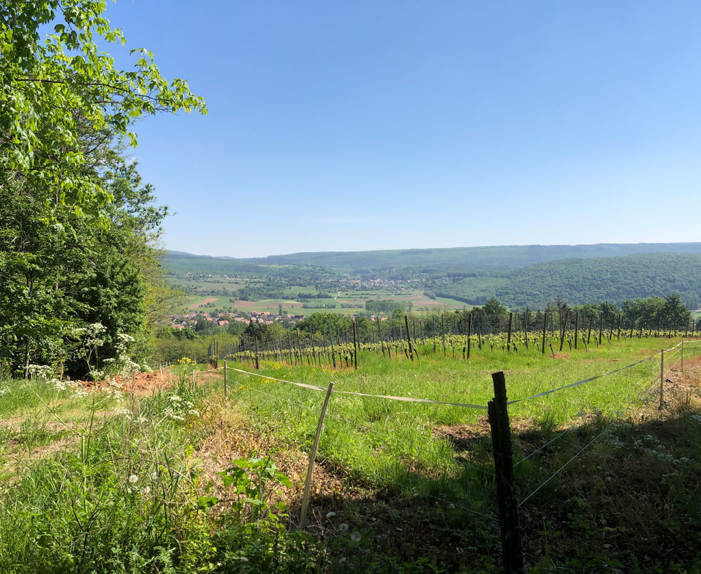 2022 05 11 val patre img8